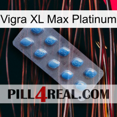 Vigra Xl Max Platinum viagra3